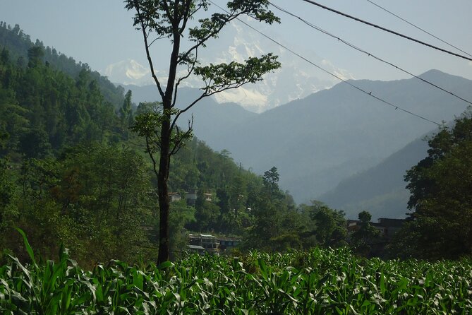 Annapurna Ghandruk Village Trek - Trek Highlights