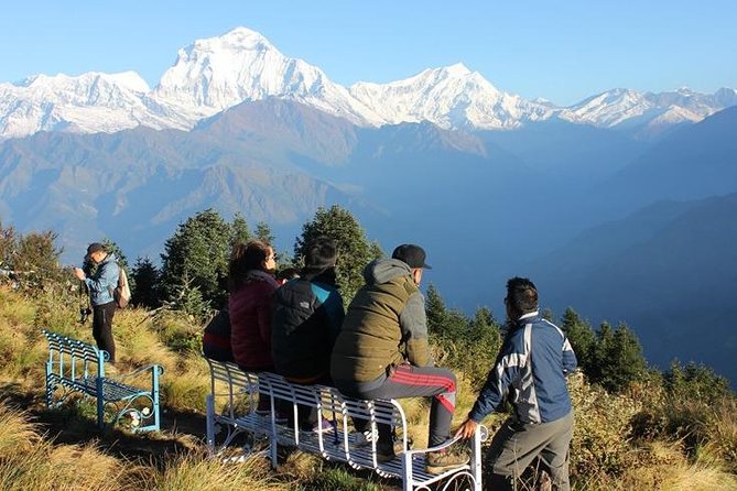 Annapurna Ghorepani Poon Hill Trek From Pokhara Short and Easy Hike in Himalaya - Reviews and Ratings