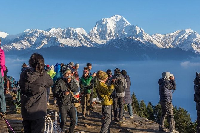 Annapurna Ghorepani Poon Hill Trek From Pokhara Short and Easy Hike in Himalaya - Viator and Terms & Conditions