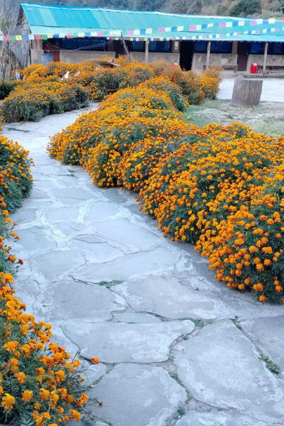 Annapurna High Pass Trek: 9-Day Adventure - Break Down