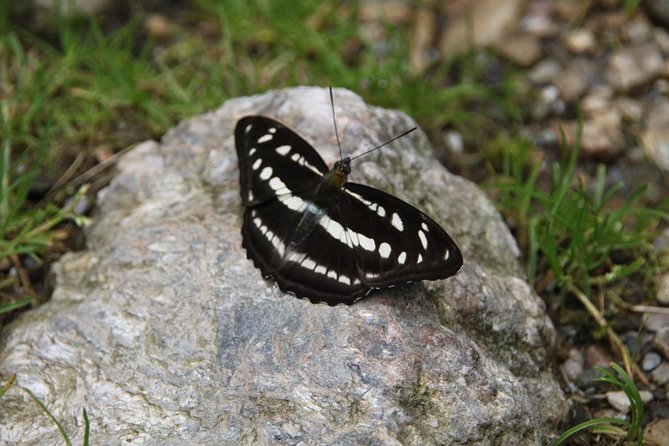 Annapurna Mini Trek - Preparation and Packing Tips