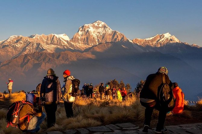 Annapurna Panorama Trekking - 9 Days - Transportation and Accommodation