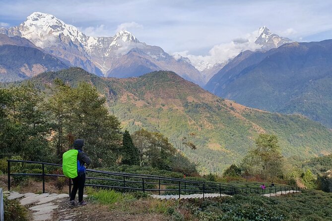 Annapurna Poon Hill Sunrise Trek - Accommodation and Meals