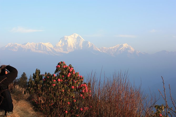 Annapurna Poon Hill Trekking - 4 Days From Pokhara - Trekking Details