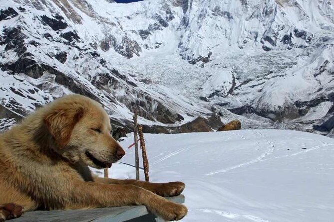 Annapurna Sanctuary Trek Including Round-Trip Domestic Flight - Exclusions and Cancellation Policy