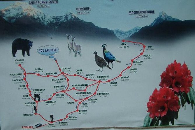 Annapurna Sunrise Trek From Kathmandu - Trek Overview