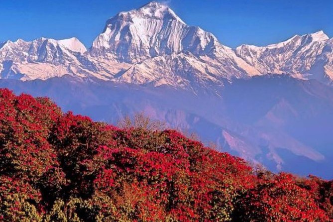 Annapurna Sunrise Trek From Kathmandu - The Sum Up