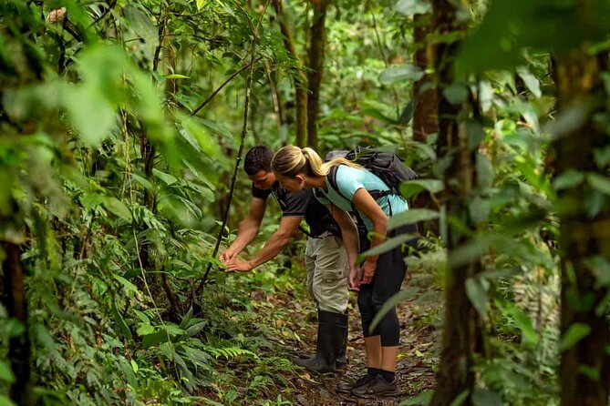 Annapurna Sunset : Hiking to Peace Pagoda via Fewa Lake & Jungle - Common Questions