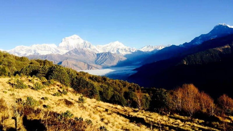 Annapurna Trek with Throng-la Pass - An In-Depth Look at the Annapurna Trek with Throng-la Pass