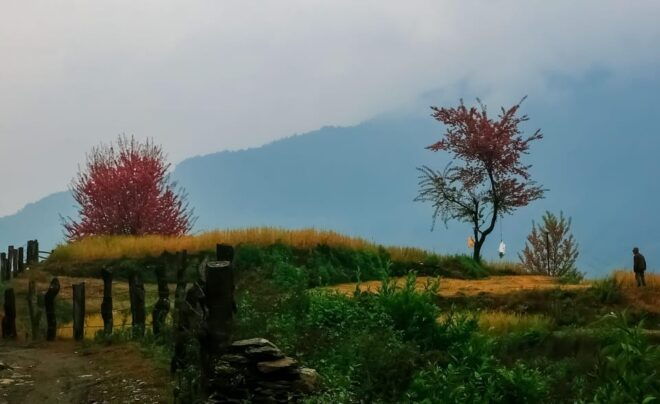 Annapurna View Hike 3 Days - Pickup Locations