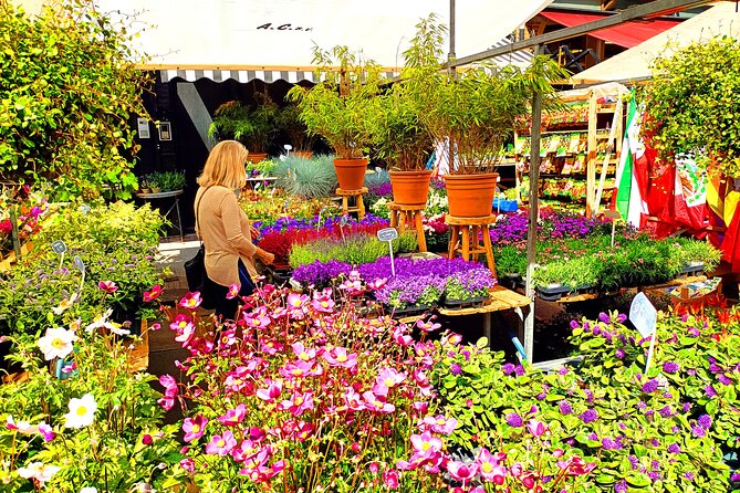 Anne Frank and Amsterdam Jewish History Walking Tour - Traveler Reviews and Testimonials