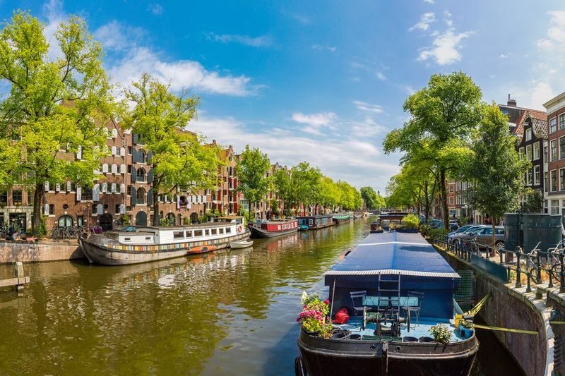 Anne Frank, Jordaan and Vondelpark Private Walking Tour - A three-hour walk through Amsterdam