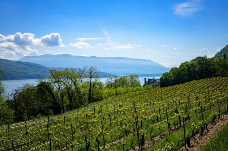 Annecy and Aix les Bains: Mont Revard & Wine Tasting at the Summit - The Journey Begins: Convenient Transport & Scenic Drive