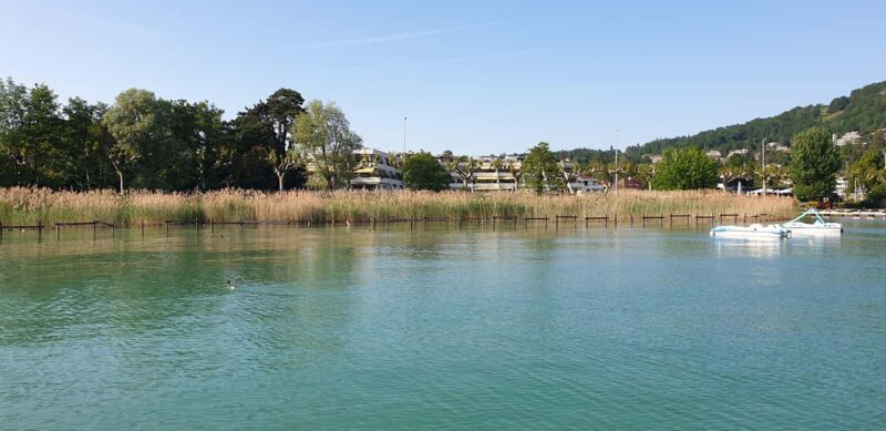 Annecy: enjoy an unforgettable city tour with a native guide - Introduction: Why a Small-Group, Local-Led Tour Matters