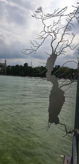 Annecy: enjoy an unforgettable city tour with a native guide - The Guide: Knowledgeable and Passionate