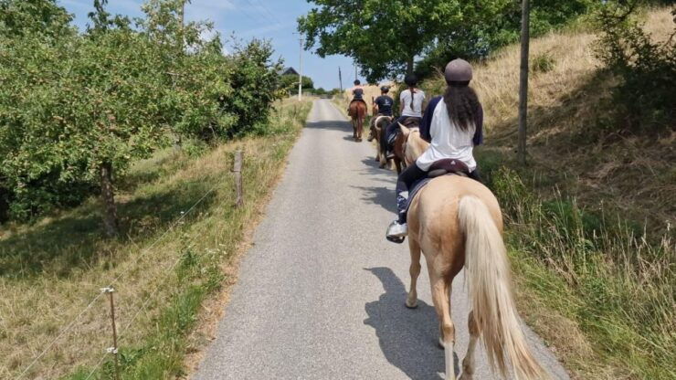 Annecy: Horseback Ride - Good To Know