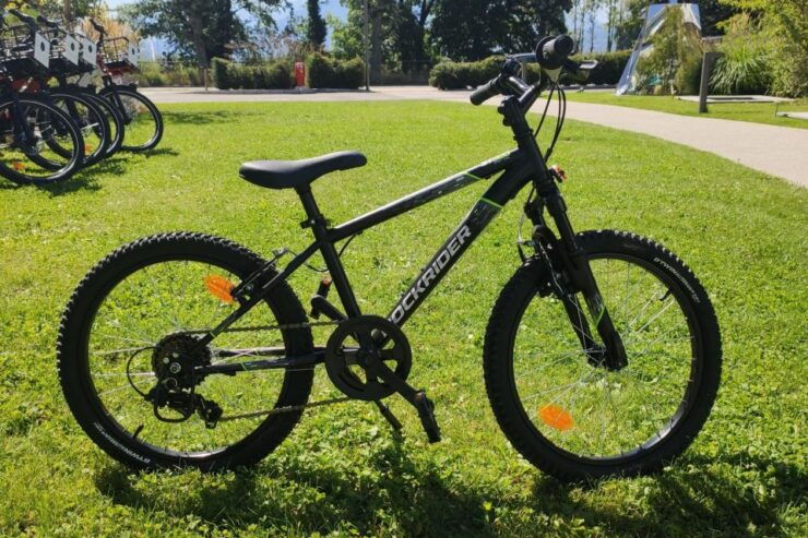 Annecy-le-Vieux, France: Electric and Muscle Bike Rentals - Activity Details