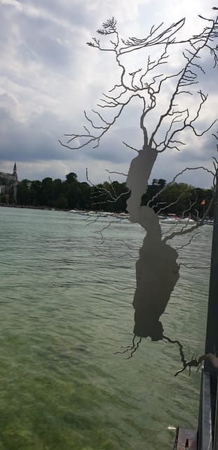 Annecy: Private Guided Tour With a Native Resident - Personalized Experience