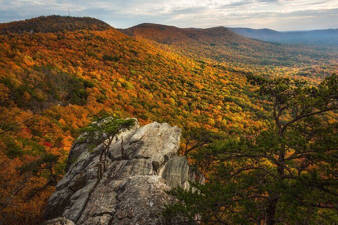 Anniston and East Central Alabama Multi-Attraction Pass - The Value Proposition