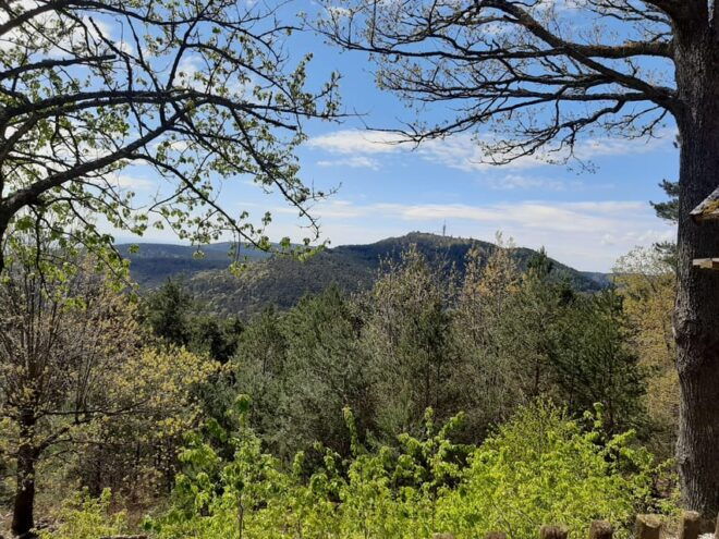 Annweiler and Castle Trifels, 3 Castles Guided Hiking Tour - Preparation and Requirements