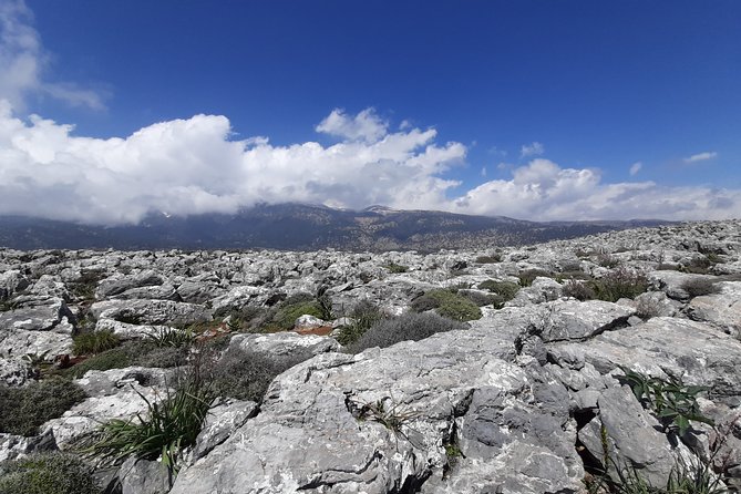 ANOPOLIS-LIVANIANA Roundhike Adventure - Trail Overview