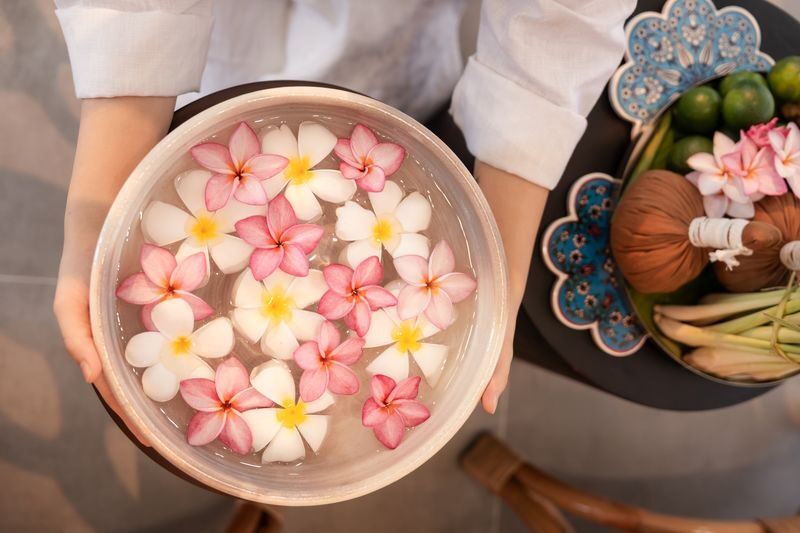 Ansen Le Spa in Hoi An: A Sanctuary Among the Rice Fields - Who should book Ansen Le Spa?