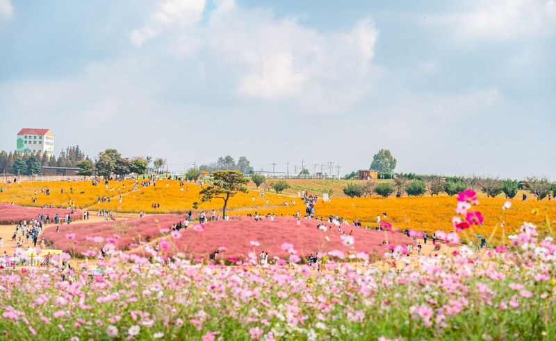 Anseong Farmland & Yeoju Premium Outlets Full-Day Shopping & Nature Tour - The shopping stop: clarify the destination