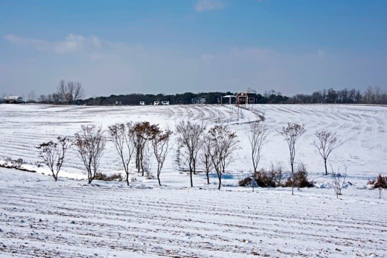 Anseong Farmland & Yeoju Premium Outlets Full-Day Shopping & Nature Tour - Booking details to check