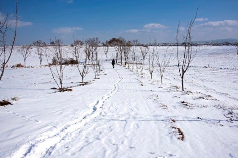 Anseong Farmland & Yeoju Premium Outlets Full-Day Shopping & Nature Tour - Should you book this Anseong day trip?