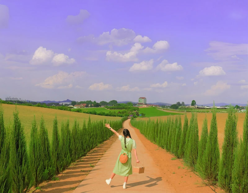 Anseong Flower Festival & Koreas Largest Golden Buddha (From Seoul) - What the price includes, and what it does not