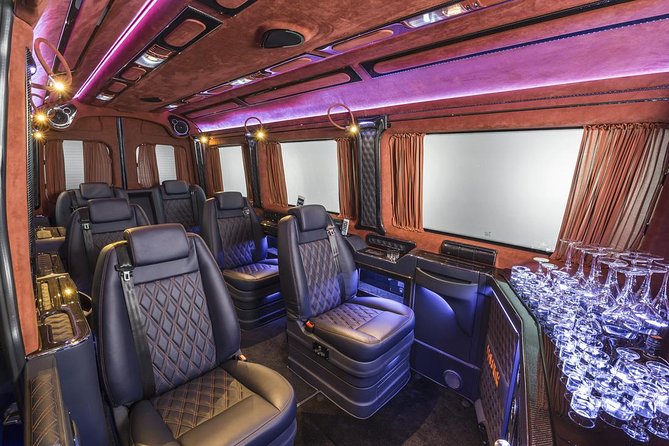 Antalya Airport (AYT) to Gundogdu Transfer - TOP VIP Minibus - Inclusions and Transportation Information