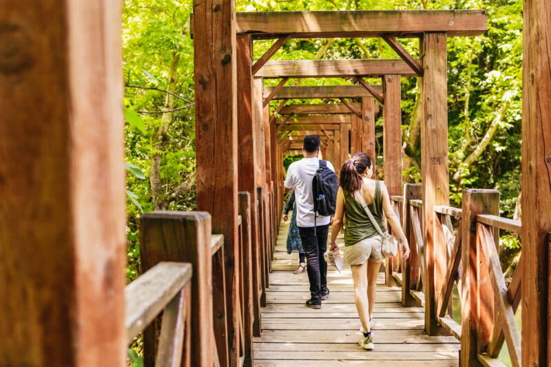 Antalya: Ancient Perge, Aspendos Theater & City of Side Tour - Introduction