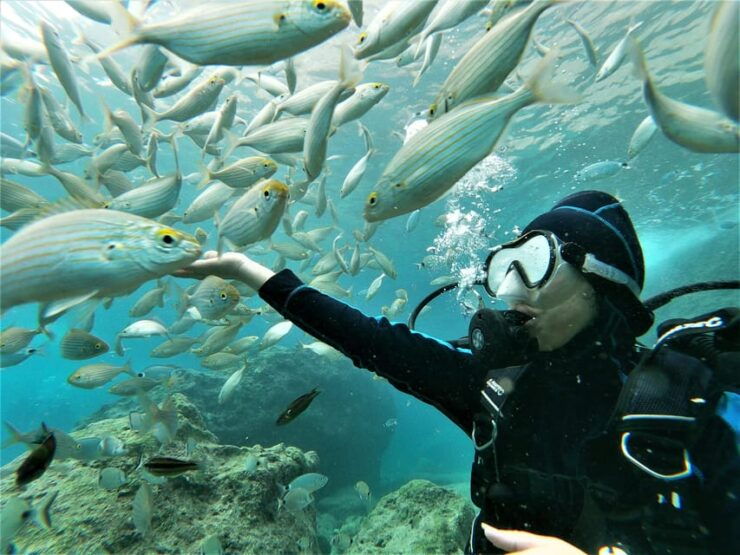 Antalya and Kemer: Full Day Scuba Diving Tour With Lunch - Key Points