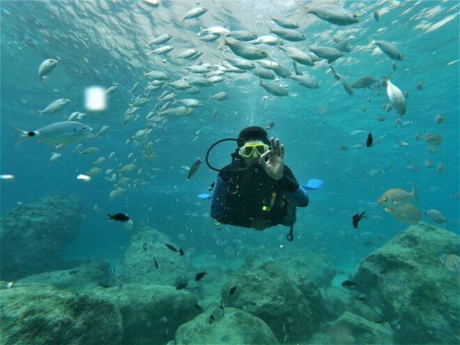 Antalya and Kemer: Full Day Scuba Diving Tour With Lunch - Inclusions and Amenities