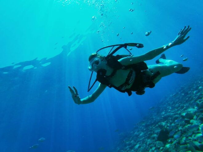 Antalya and Kemer: Full Day Scuba Diving Tour With Lunch - Important Information