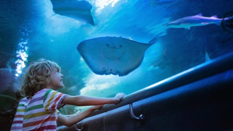Antalya: Aquarium and Old Town Guided Tour - Who Will Love This Tour?