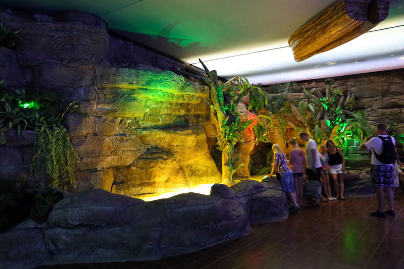 Antalya Aquarium and Wax Museum Entry Ticket - The main event: walking through the ocean tunnel