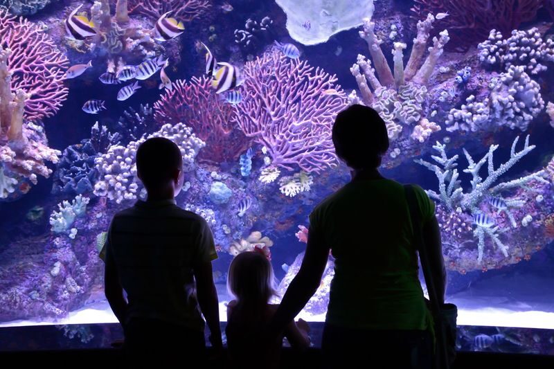 Antalya Aquarium and Wax Museum Entry Ticket - Reptiles and other unexpected residents