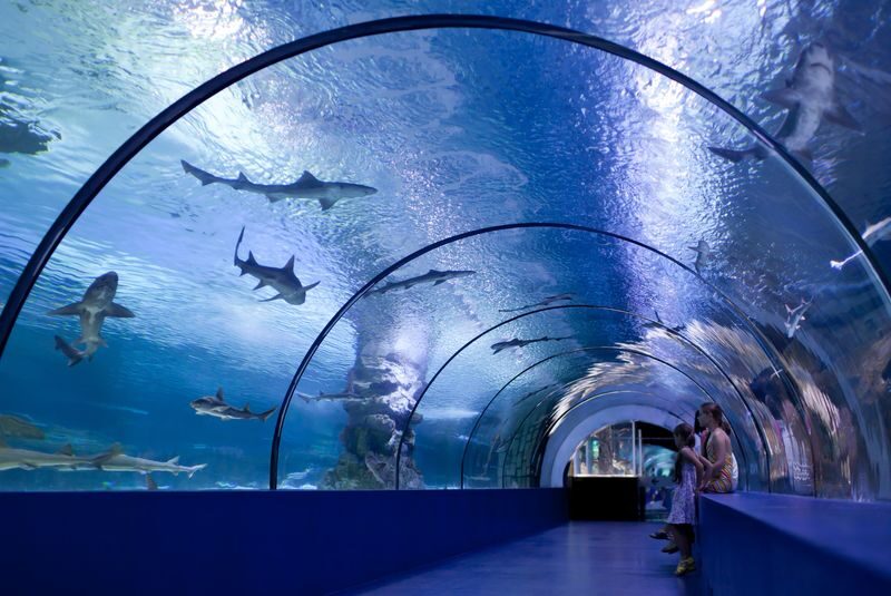 Antalya Aquarium and Wax Museum Entry Ticket - Face 2 Face adds a change of scene