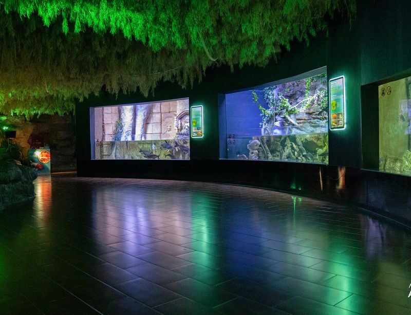 Antalya Aquarium and Wax Museum Entry Ticket - Snow World and the XD cinema are separate decisions