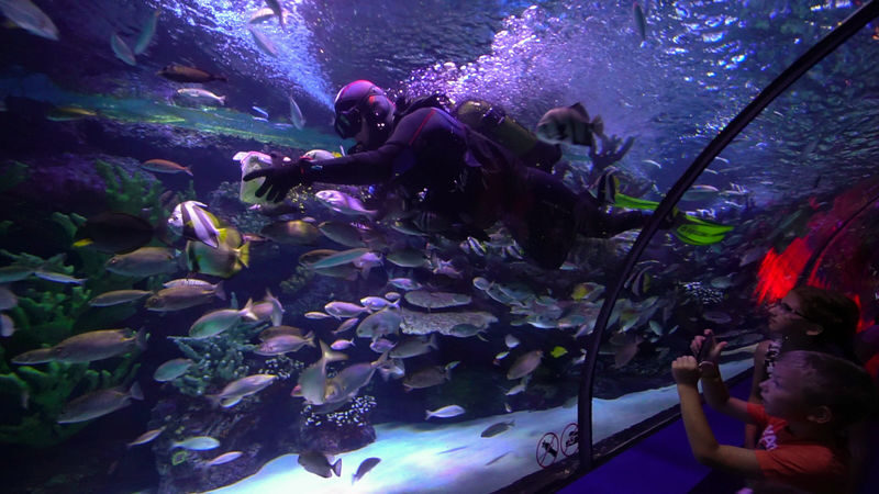 Antalya Aquarium and Wax Museum Entry Ticket - Is the ticket good value?