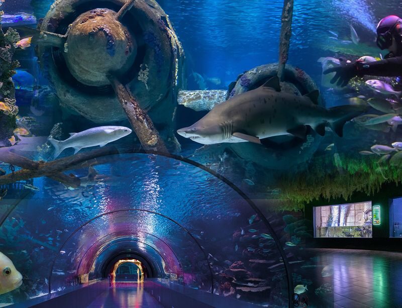 Antalya Aquarium and Wax Museum Entry Ticket - Who should book this visit?