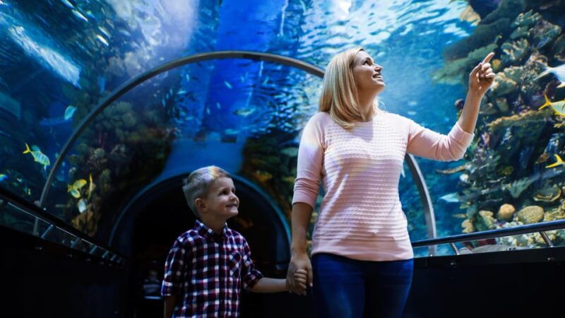 Antalya: Aquarium and Wax Museum Entry Ticket - Good To Know