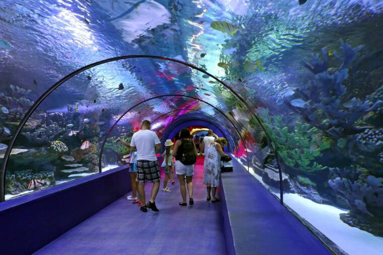 Antalya: Aquarium and Wax Museum Entry Ticket - Practical Tips for Visiting