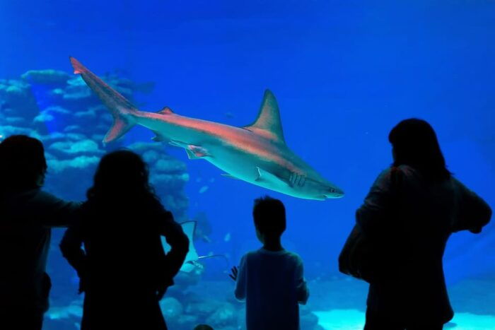 Antalya: Aquarium and Wax Museum Entry Ticket - FAQs
