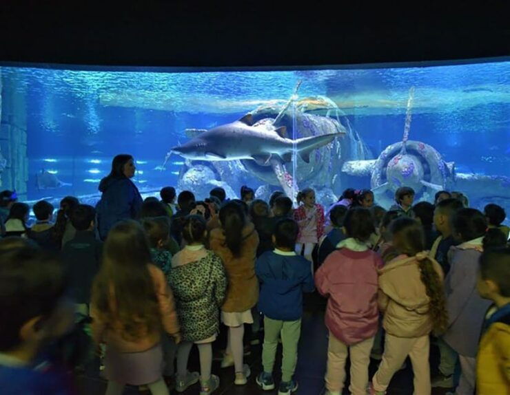 Antalya Aquarium Tour Include Transfer: Alanya,Side,Antalya - Included Services