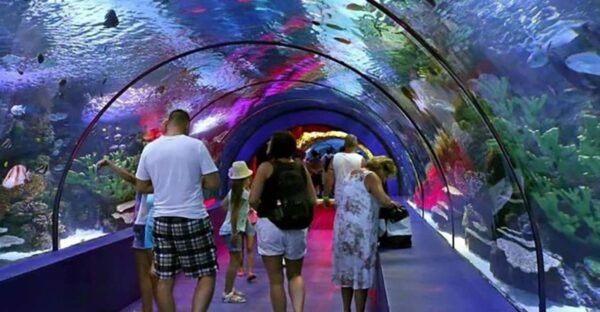 Antalya Aquarium Tour Include Transfer: Alanya,Side,Antalya - Frequently Asked Questions