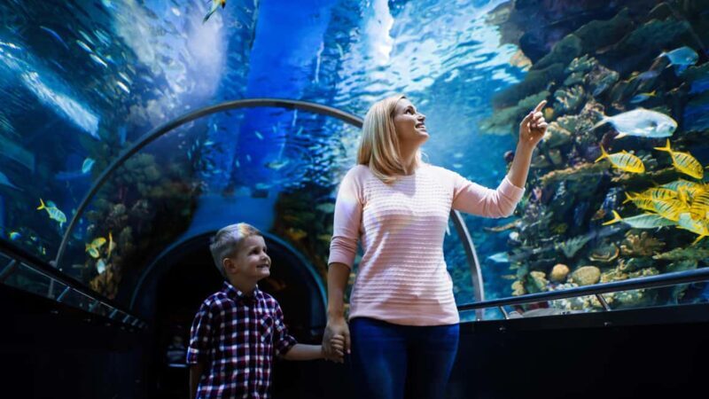 Antalya: Aquarium, Wax Museum, Snow World & Wild Park Ticket - A Deep Dive into the Antalya Experience