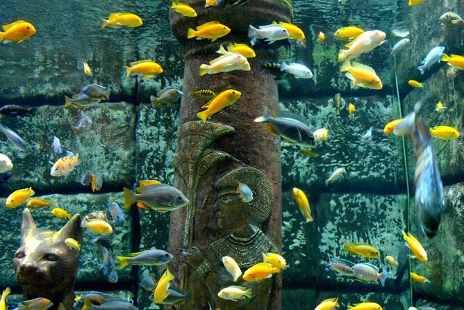 Antalya Aquarium With Entrance and Roundtrip Transfer From Alanya - Good To Know