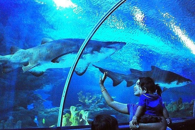 Antalya Aquarium With Entrance and Roundtrip Transfer From Alanya - Cancellation Policy and Pricing